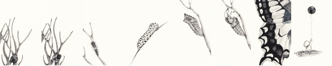 Il